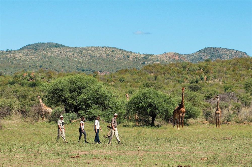 Madikwe Safari Lodge Melorane エクステリア 写真