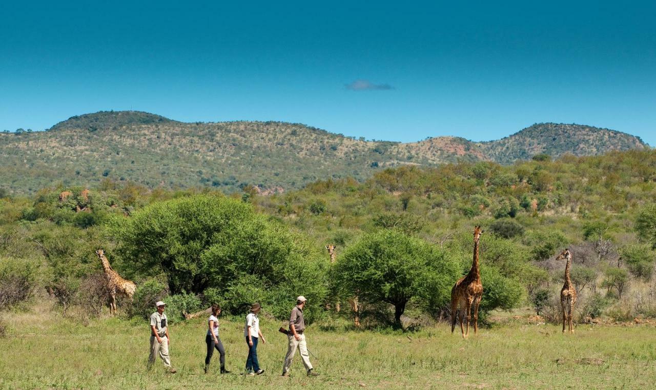Madikwe Safari Lodge Melorane エクステリア 写真