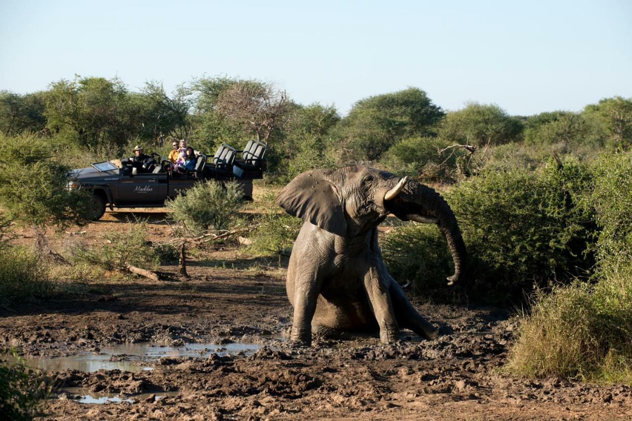 Madikwe Safari Lodge Melorane エクステリア 写真